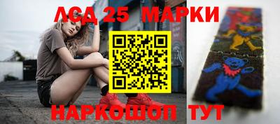 гидра Ставрополь
